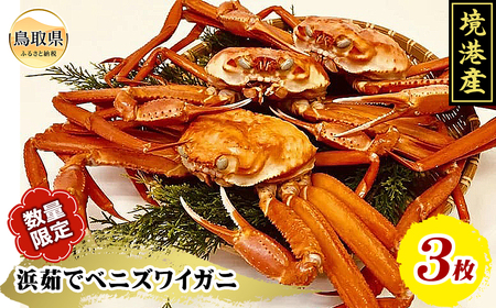 B24-020 浜茹でベニズワイガニ3枚入り（足欠け含む）