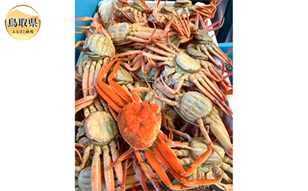 D24-107 【魚倉】ボイルお任せセコガ二 1kgセット【期間限定】