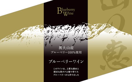 B24-161 奥大山産ブルーベリー100％使用　ブルーベリーワイン2本セット