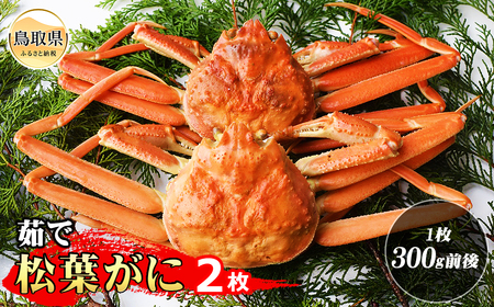 D24-117 茹で松葉ガニ 2枚（1枚300g前後）【期間限定】