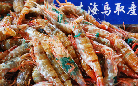 B24-073 鳥取県産　冷凍モサエビ【期間限定】