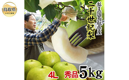 鳥取県産　20世紀梨　10kg 4L