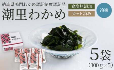 わかめ 国産 500g 100g × 5袋 カットわかめ 徳島県 鳴門 わかめ 米 こめ 味噌 汁 潮里わかめ 湯通し 冷凍わかめ カット 食塩 無添加 個包装 手間いらず なし お手軽 調理 料理 潮里