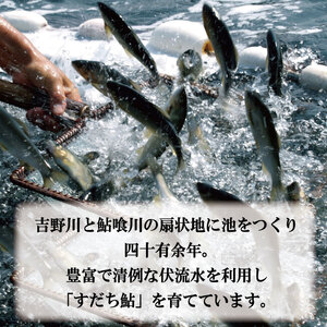 すだち 鮎 1kg 鮎