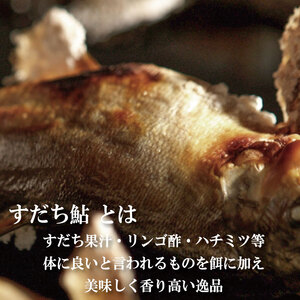 すだち 鮎 1kg 鮎