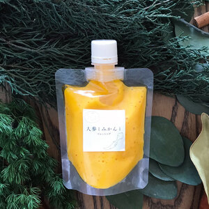 とくしまドレッシング 3本セット 