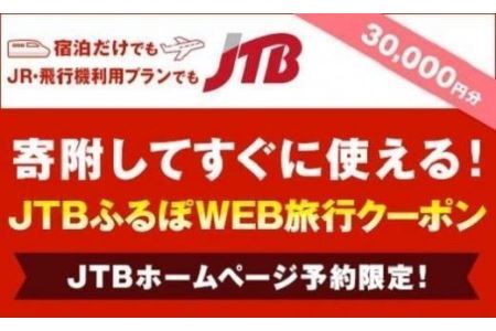 【徳島県】JTBふるぽWEB旅行クーポン（30,000円分）