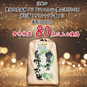 米 5kg 新野源流米 あきさかり 令和7年産 米