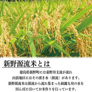 米 5kg 新野源流米 あきさかり 令和7年産 米