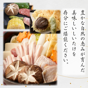 しいたけ 菌床生しいたけ 1kg 