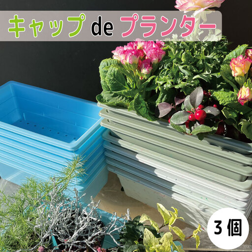 プランター 3個 （色指定不可） ペットボトル キャップ おしゃれ ガーデン 長方形 園芸 野菜 果物 花 かわいい オアシス サイズ ハウス 雑貨 リサイクル スタンド 徳島 キャップdeプランター