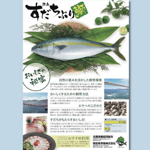 すだちぶり 2柵 10月から11月末まで発送 ぶり