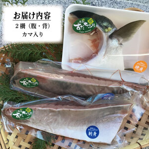 すだちぶり 2柵 10月から11月末まで発送 ぶり