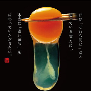 卵 20個 高嶺の卵 たまご 