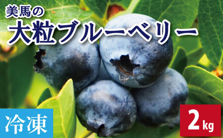 ブルーベリー 大粒 2kg 冷凍 ベリー