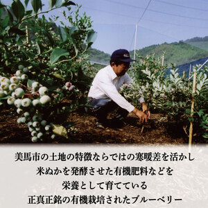 ブルーベリー 大粒 2kg 冷凍 ベリー