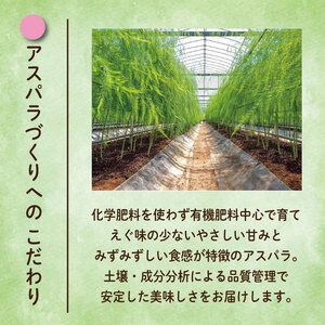 アスパラガス Lサイズ 3kg アスパラガス