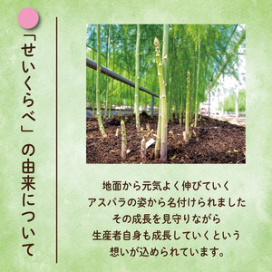 アスパラガス Lサイズ 3kg アスパラガス