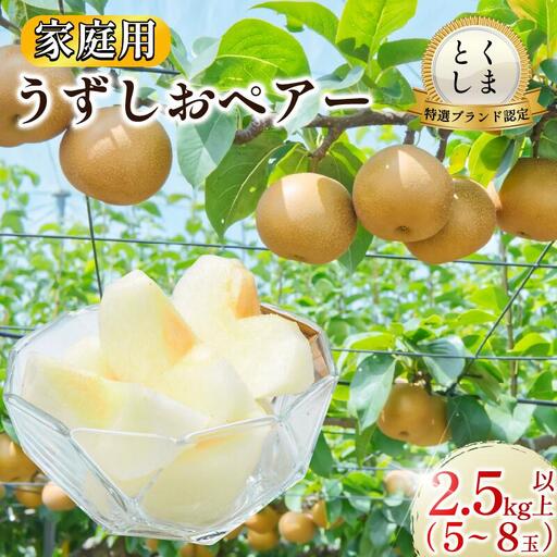 梨 うずしおペアー 2.5kg以上 梨