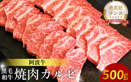 焼肉 カルビ 500g 阿波牛 焼肉