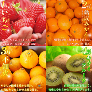 フルーツ 定期便 12ヶ月 果物 季節 旬 詰め合せ