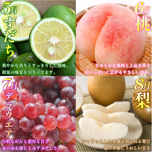 フルーツ 定期便 12ヶ月 果物 季節 旬 詰め合せ