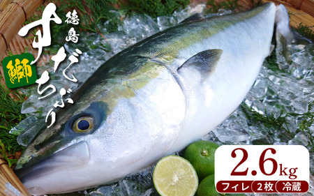 ぶり フィレ すだちぶり 半身 2枚 2.6kg 冷蔵 徳島 養殖