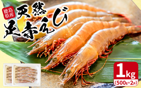 えび 1kg 足赤海老 えび