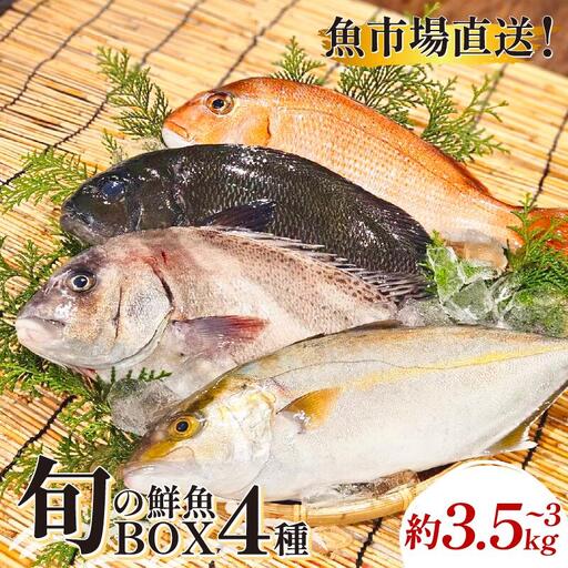 鮮魚ボックス 4種 冷蔵 鮮魚