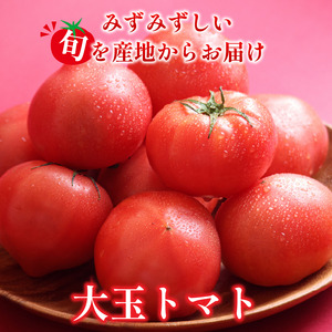 トマト 2kg 大玉 とまと