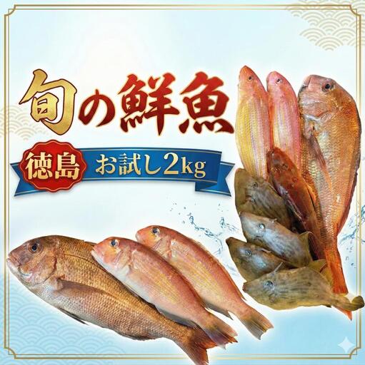 鮮魚 お試し 約2kg 徳島県産 鮮魚