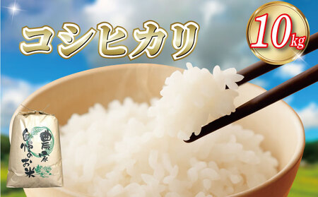 コシヒカリ 10kg 高嶺の雫米 コシヒカリ