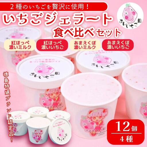ジェラート 12個 いちご 4種