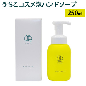 うちこコスメ 泡ハンドソープ 250ml 1本 ハンドソープ ハンドウォッシュ 泡 泡タイプ せっけん 石鹸 アミノ酸系 保湿 香り もこもこ泡 子供 ボトル 日本製 国産 愛媛県 【えひめの町（超）推し！（内子町）】(282)