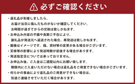 「愛媛が誇るブランド柑橘」 紅まどんな 先行予約 数量限定  約3kg オレンジ 柑橘 くだもの 果物 フルーツ （553） 【2024年12月下旬-2025年1月上旬発送予定】