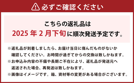 「柑橘の大トロ」 せとか 先行予約 数量限定 約3kg オレンジ 柑橘 くだもの 果物 フルーツ （554）  【2025年2月下旬発送予定】