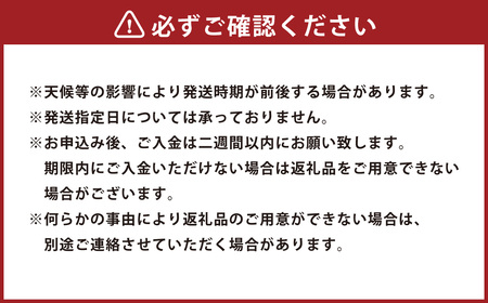 「柑橘の大トロ」 せとか 先行予約 数量限定 約3kg オレンジ 柑橘 くだもの 果物 フルーツ （554）  【2025年2月下旬発送予定】