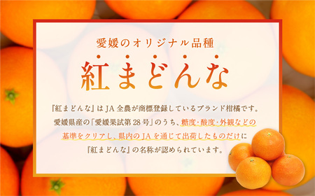 愛媛の旬の柑橘 紅まどんな（専用箱）約2.5㎏ 3L～Lサイズ 10～15個 紅まどんな まどんな マドンナ みかん ミカン 蜜柑 果物 くだもの フルーツ 柑橘 かんきつ 愛媛果試第28号 常温 国産 愛媛県【12月頃発送】(014)