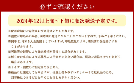 愛媛の旬の柑橘 紅まどんな（専用箱）約2.5㎏ 3L～Lサイズ 10～15個 紅まどんな まどんな マドンナ みかん ミカン 蜜柑 果物 くだもの フルーツ 柑橘 かんきつ 愛媛果試第28号 常温 国産 愛媛県【12月頃発送】(014)