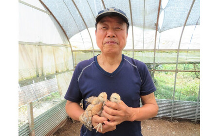 媛っこ地鶏のモモ肉 ムネ肉 ササミ肉3点セット 約1～1.3kg(2)