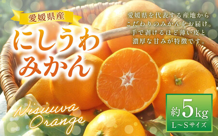 にしうわみかんL～Sサイズ （約5kg） みかん 蜜柑 柑橘 果物 くだもの フルーツ （518） 【2024年11月下旬～2024年12月下旬発送予定】