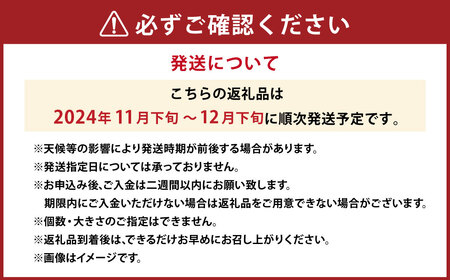 にしうわみかんL～Sサイズ （約5kg） みかん 蜜柑 柑橘 果物 くだもの フルーツ （518） 【2024年11月下旬～2024年12月下旬発送予定】