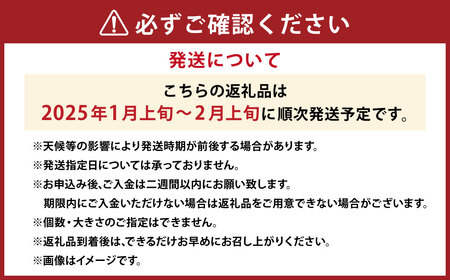 伊予柑 3L～Lサイズ （約5kg） みかん 蜜柑 柑橘 果物 くだもの フルーツ （520） 【2025年1月上旬～2025年2月上旬発送予定】