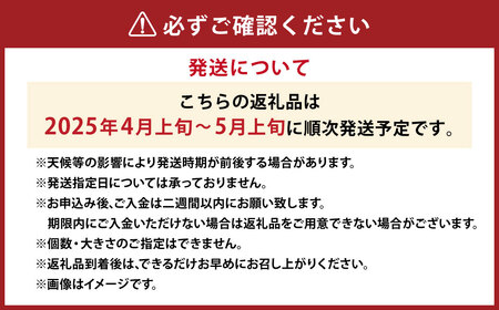 カラマンダリン L～Mサイズ （約5kg） みかん 柑橘 果物 くだもの フルーツ （523） 【2025年4月上旬～2025年5月上旬発送予定】