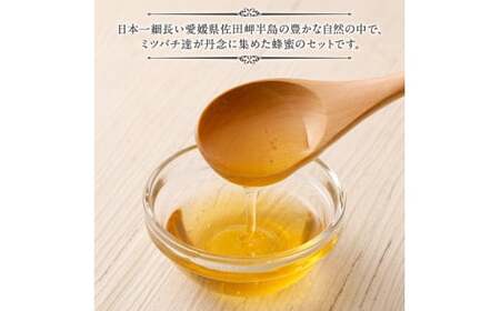 「岬のしずく」佐田岬半島産純粋蜂蜜 みかん蜜 1kg 3本 セット 合計3kg 愛媛県産 はちみつ ハチミツ 蜜 国産 常温 愛媛県 お取り寄せ【えひめの町（超）推し！（伊方町）】（319）