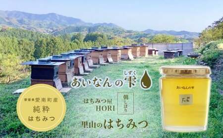 はちみつ 450g 蜂蜜 ハチミツ 蜜 みつ ミツ 常温 国産 愛媛県 【えひめの町（超）推し！（愛南町）】（327）