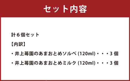 井上苺園のオリジナルジェラート6個セット 2種×3個 ジェラート ソルベ あまおとめ いちご 苺 冷凍 愛媛県 （475）