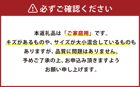 大岩農園のはるみ 家庭用 約4.5kg 果物 くだもの フルーツ 不知火 柑橘 （489）【えひめの町（超）推し！（伊方町）】【2025年1月下旬～2月上旬発送予定】