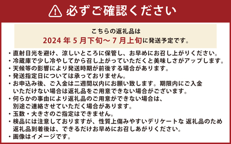 大岩農園の不知火 家庭用 約4.5kg 果物 くだもの フルーツ 不知火 柑橘 （490）【えひめの町（超）推し！（伊方町）】【2025年2月下旬～3月下旬発送予定】