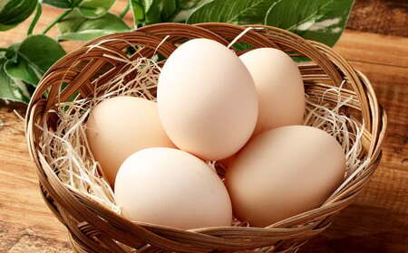 ひめ卵プラス 20個 セット (内割れ保証2個) たまご 卵 玉子 タマゴ 国産 愛媛県産 【えひめの町(超)推し!(内子町)】 (477)